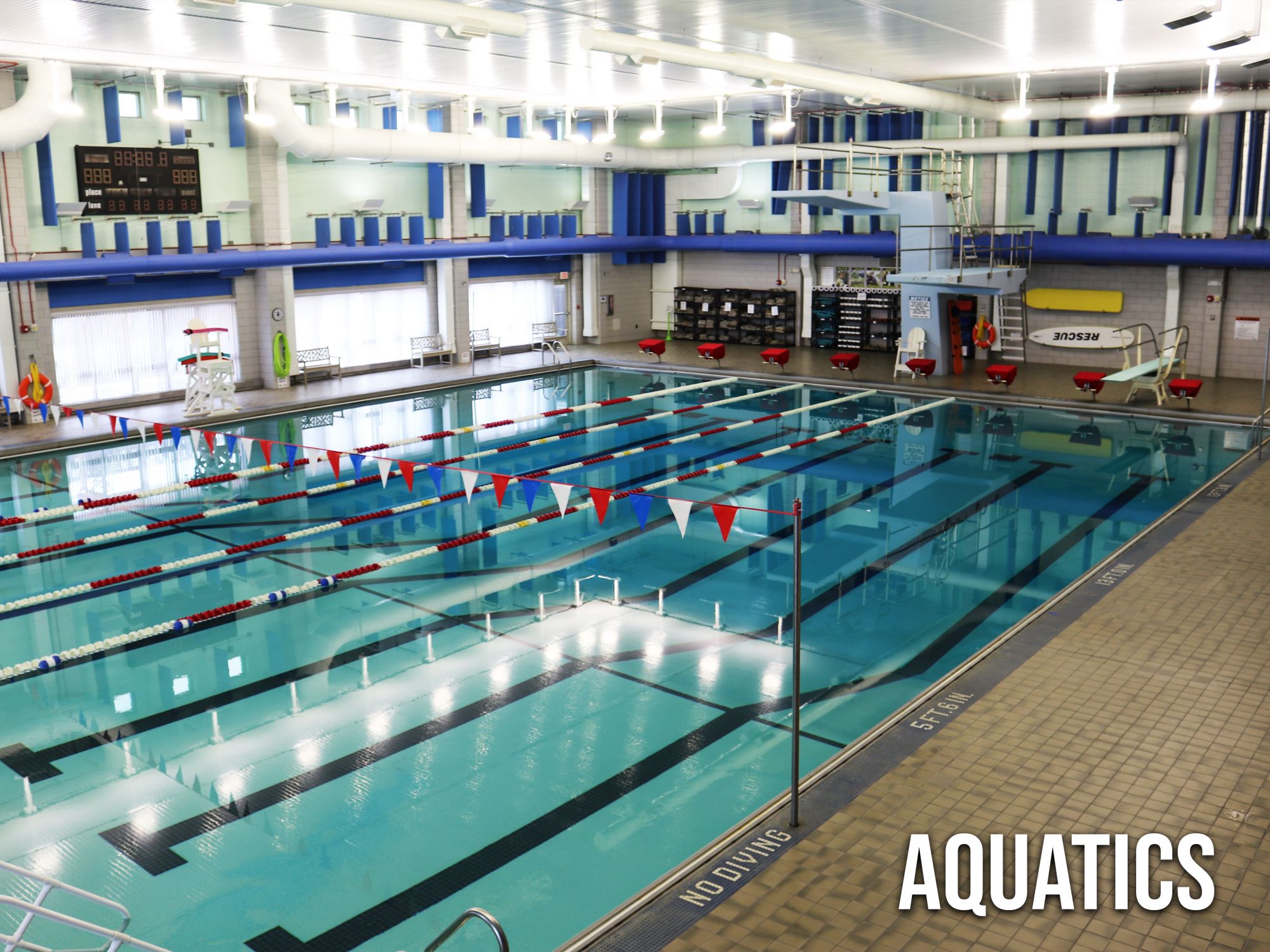 Magrath_Aquatics.jpg